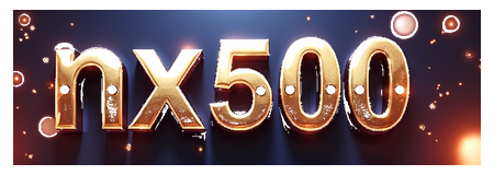 nx500 logo